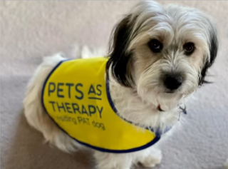 Illustration de l'article : Une chienne ayant frôlé le pire fait table rase de son douloureux passé et se met au service des enfants