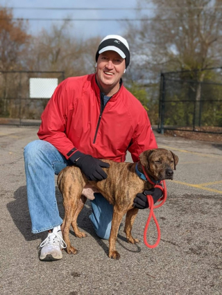 Illustration de l'article : Il fête son 50e anniversaire en promenant 50 chiens et en récoltant des milliers d’euros pour un refuge