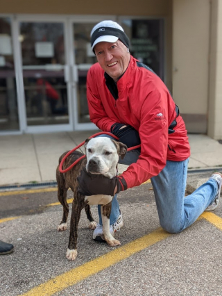 Illustration de l'article : Il fête son 50e anniversaire en promenant 50 chiens et en récoltant des milliers d’euros pour un refuge