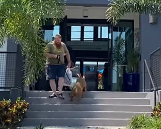 Illustration de l'article : Un chien aveugle et traumatisé par la guerre se morfondait au refuge, son histoire émeut un ancien militaire