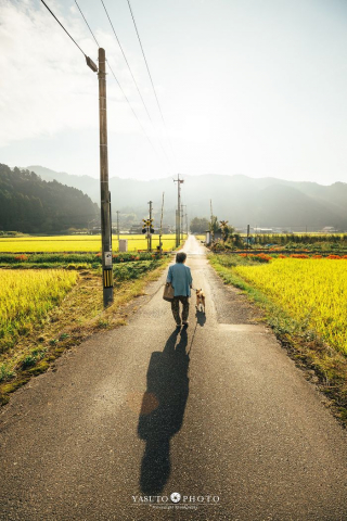Illustration de l'article : 20 photos sublimes illustrant la touchante amitié qui unit un Shiba Inu et sa maîtresse sénior
