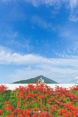 Illustration de l'article : 20 photos sublimes illustrant la touchante amitié qui unit un Shiba Inu et sa maîtresse sénior
