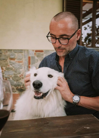 Illustration de l'article : 20 photos de Bergers Blancs Suisses à la robe aussi éclatante que la neige