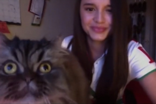 Illustration de l'article : Un chat décide de pousser la chansonnette et vole la vedette à sa maîtresse, chanteuse d'opéra (vidéo)