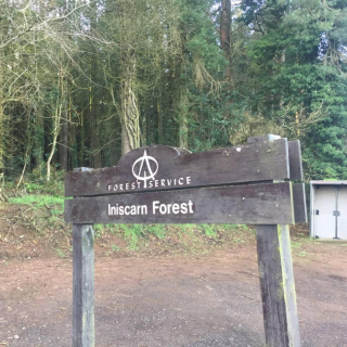 Illustration de l'article : Un Border Collie compl&egrave;tement aveugle a &eacute;t&eacute; retrouv&eacute; attach&eacute; &agrave; un poteau dans une for&ecirc;t