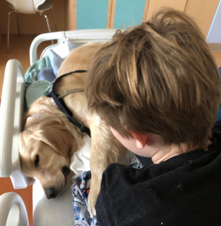 Illustration de l'article : 12 photos de chiens et de chats qui débordent de tendresse et ne demandent qu'à la partager