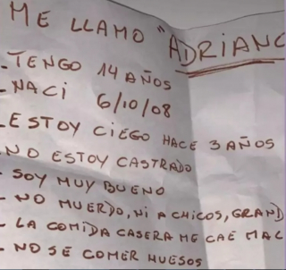 Illustration de l'article : Vidéo : Une femme a été filmée par une caméra de surveillance, alors qu’elle était en train d’abandonner son chien aveugle