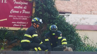 Illustration de l'article : Une opération de grande ampleur a permis de sauver un chat errant vivant sur le toit d’un restaurant