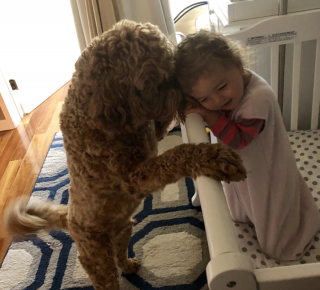 Illustration de l'article : 17 photos d'animaux s'étant donné pour mission de vous offrir sourires et affection sans compter