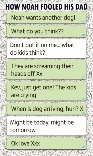 Illustration de l'article : Un garçon de 9 ans se fait passer pour sa mère par texto et convint son père d’acheter un chien