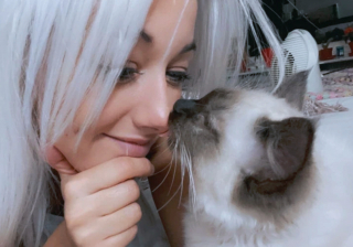 Illustration de l'article : 10 photos touchantes d'animaux manifestant un attachement inconditionnel à leurs humains