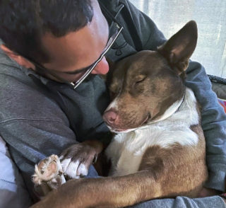 Illustration de l'article : 10 photos touchantes d'animaux manifestant un attachement inconditionnel à leurs humains