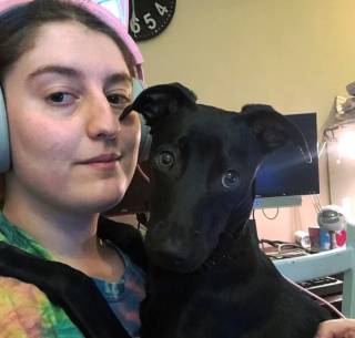 Illustration de l'article : 10 photos touchantes d'animaux manifestant un attachement inconditionnel à leurs humains