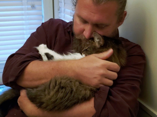 Illustration de l'article : 10 photos touchantes d'animaux manifestant un attachement inconditionnel à leurs humains