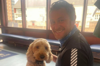 Illustration de l'article : Des vétérinaires retirent 10 dards de guêpes à un chien, dont le pronostic vital était engagé