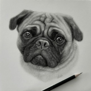 Illustration de l'article : 20 portraits hyperréalistes et émouvants de chiens et de chats réalisés par une artiste au talent incommensurable