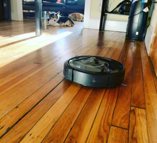 Illustration de l'article : 15 photos de chiens face à des aspirateurs robots et ne sachant pas vraiment ce qu'ils doivent en penser