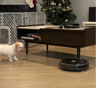Illustration de l'article : 15 photos de chiens face à des aspirateurs robots et ne sachant pas vraiment ce qu'ils doivent en penser