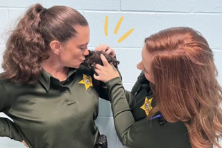 Illustration de l'article : Le récit inspirant de 2 femmes et leur mission pour sauver un adorable chaton coincé sous un camping car