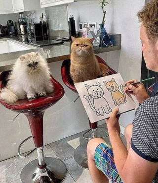 Illustration de l'article : 14 photos qui prouvent que nos amis les chats sont d'incroyables remèdes contre la morosité