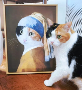 Illustration de l'article : 14 photos qui prouvent que nos amis les chats sont d'incroyables remèdes contre la morosité