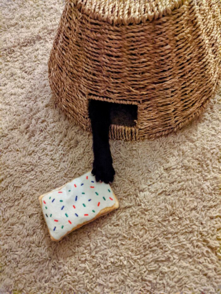 Illustration de l'article : 20 photos de chats qui boudent leur panier et choisissent des lieux de repos improbables