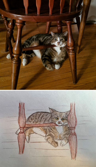 Illustration de l'article : 20 portraits maladroits mais adorables d'animaux de compagnie réalisés en soutien à un refuge