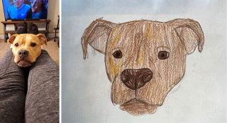 Illustration de l'article : 20 portraits maladroits mais adorables d'animaux de compagnie réalisés en soutien à un refuge