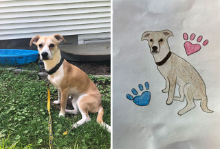 Illustration de l'article : 20 portraits maladroits mais adorables d'animaux de compagnie réalisés en soutien à un refuge