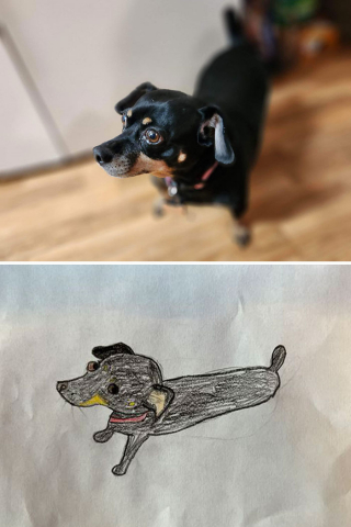 Illustration de l'article : 20 portraits maladroits mais adorables d'animaux de compagnie réalisés en soutien à un refuge