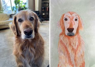 Illustration de l'article : 20 portraits maladroits mais adorables d'animaux de compagnie réalisés en soutien à un refuge