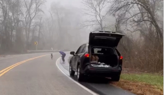 Illustration de l'article : 2 bienfaiteurs croisent une chienne disparue et saisissent l’opportunité de la ramener chez elle (vidéo)