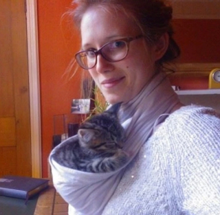 Illustration de l'article : 18 photos de chiens et de chats ayant développé des techniques infaillibles pour capter l'attention