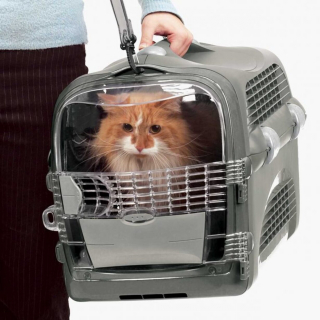 Illustration de l'article : Voyagez avec votre chat en toute sécurité grâce à la technologie des cages de transport Catit