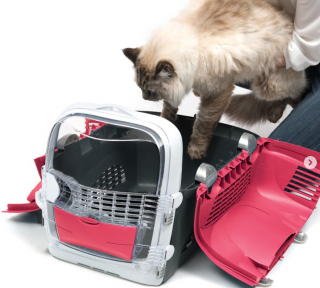 Illustration de l'article : Voyagez avec votre chat en toute sécurité grâce à la technologie des cages de transport Catit