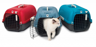 Illustration de l'article : Voyagez avec votre chat en toute sécurité grâce à la technologie des cages de transport Catit