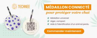 Illustration de l'article : Protégez votre compagnon en cas de disparition grâce à ce médaillon connecté