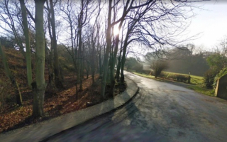 Illustration de l'article : Une promeneuse entend un miaulement de désespoir provenant d'un sac à linge dans un parc