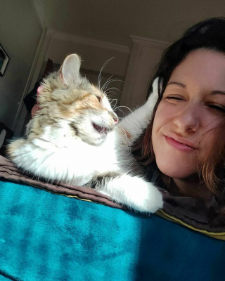 Illustration de l'article : 20 photos hilarantes de chats refusant catégoriquement les câlins de leurs humains