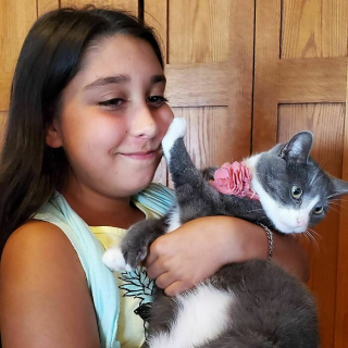 Illustration de l'article : 20 photos hilarantes de chats refusant catégoriquement les câlins de leurs humains