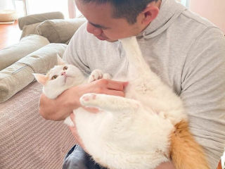 Illustration de l'article : 20 photos hilarantes de chats refusant catégoriquement les câlins de leurs humains