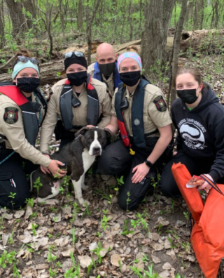Illustration de l'article : Des pêcheurs découvrent une chienne abandonnée sur une île inhabitée
