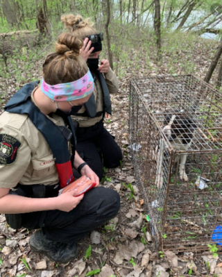 Illustration de l'article : Des pêcheurs découvrent une chienne abandonnée sur une île inhabitée