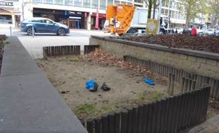 Illustration de l'article : Le fléau des déjections canines en Belgique est à l’étude. Les citoyens appelés à faire preuve de civisme