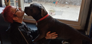 Illustration de l'article : Un propriétaire recherché pour avoir abandonné 2 chiots malades et handicapés au milieu de nulle part