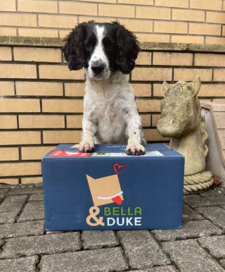 Illustration de l'article : Le héros Puck, qui a aidé sa maîtresse à pousser une voiture bloquée dans les inondations, a reçu une récompense