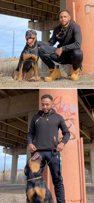 Illustration de l'article : 20 photos révélant les traits communs partagés entre les chiens et leurs humains