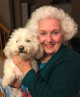 Illustration de l'article : 20 photos révélant les traits communs partagés entre les chiens et leurs humains