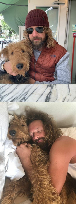 Illustration de l'article : 20 photos révélant les traits communs partagés entre les chiens et leurs humains