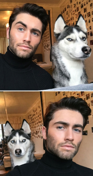 Illustration de l'article : 20 photos révélant les traits communs partagés entre les chiens et leurs humains